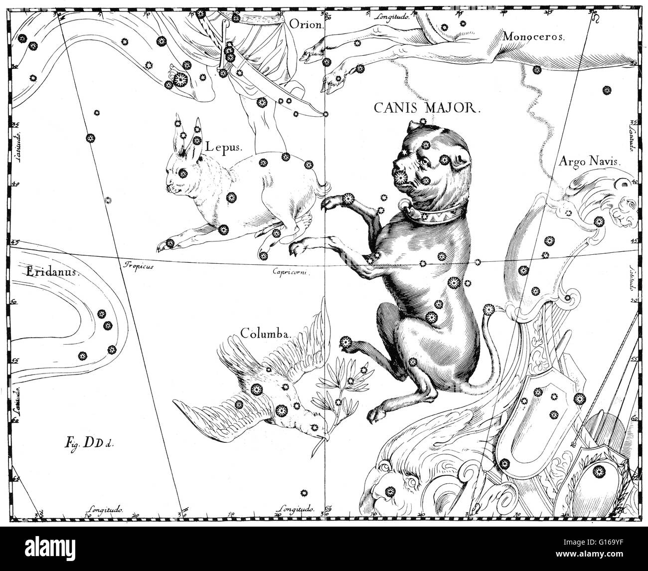 Canis major costellazione da Johannes Hevelius' Prodromus Astronomiae, Firmamentum sobiescianum, sive Uranographia, 1687. Canis Major è stato uno dei 48 costellazioni descritto dal II secolo astronomo Tolomeo e ora è uno dei 88 conste moderno Foto Stock