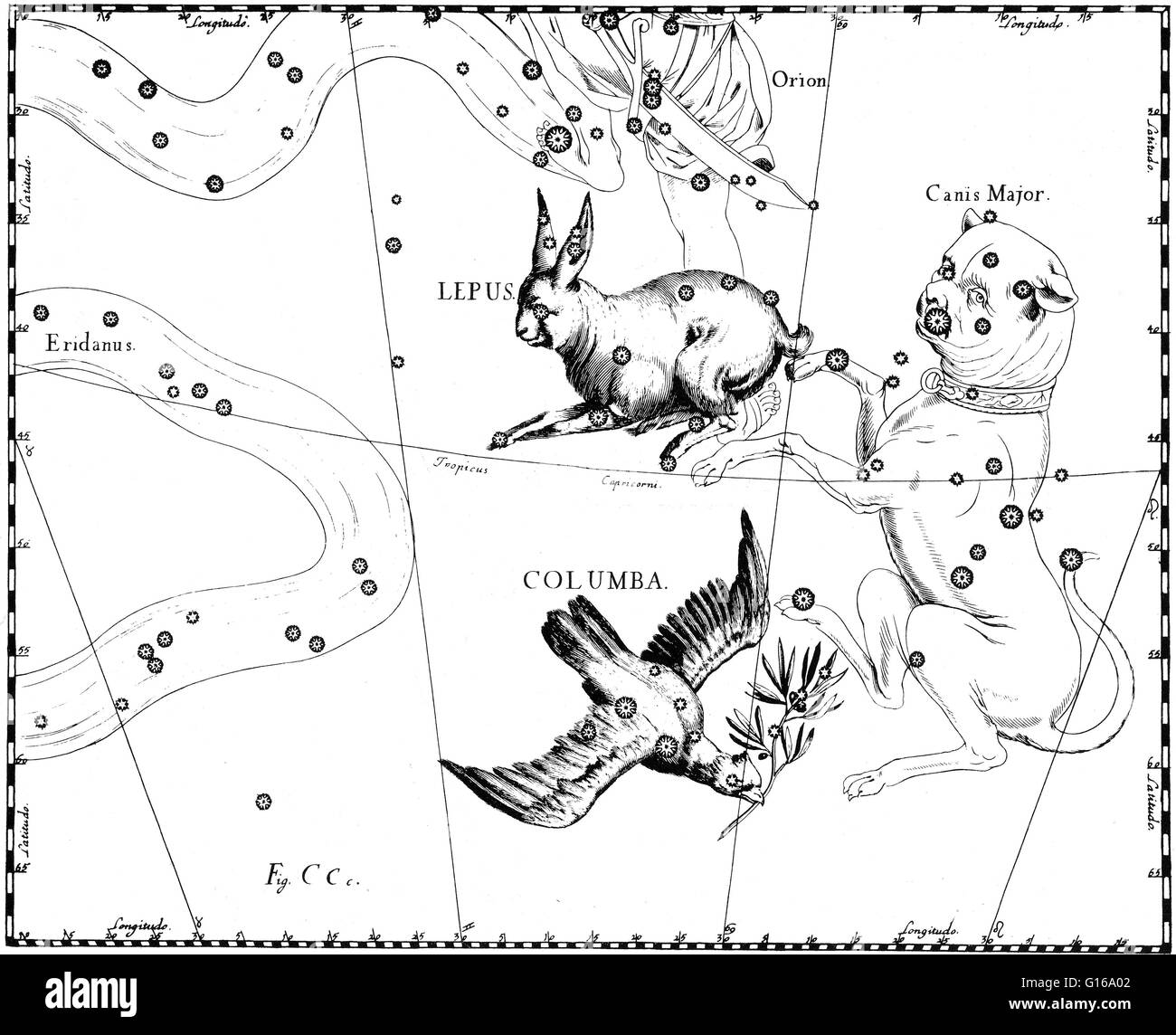La costellazione da Johannes Hevelius' Prodromus Astronomiae, Firmamentum sobiescianum, sive Uranographia, 1687. Lepus è una costellazione che giace appena a sud dell'equatore celeste, immediatamente a sud di Orione. Il suo nome è latino per la lepre. Sebbene la Foto Stock