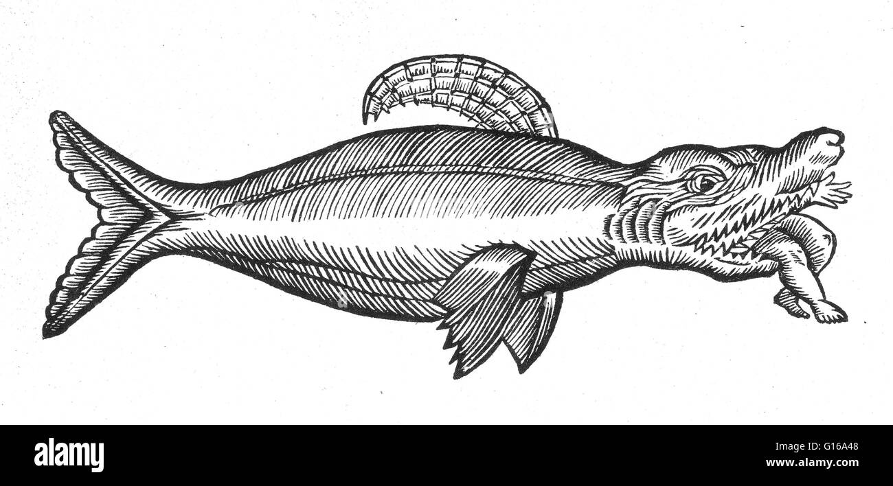 Woodblock non datata di un mostro marino che divora un uomo. Mostri marini sono il sea-dimora o mitiche creature leggendarie, spesso si ritiene essere di dimensioni immense. Mostri marini può assumere molte forme, inclusi i draghi del mare, mare serpenti o multi-armati bestie. Essi Foto Stock