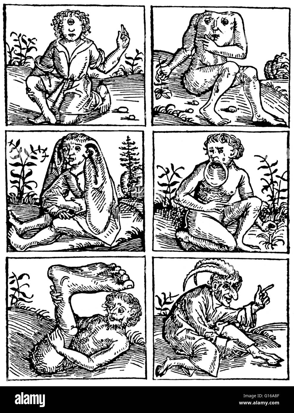 Xilografia da Buch der Natur da Konrad di Megenberg (1309-1374). Konrad era un tedesco lo studioso cattolico, e fu uno dei più prolifici autori tedeschi del XIV secolo. Il suo più noto e più ampiamente il lavoro di lettura è il suo 'Buch der Natur', che è sti Foto Stock