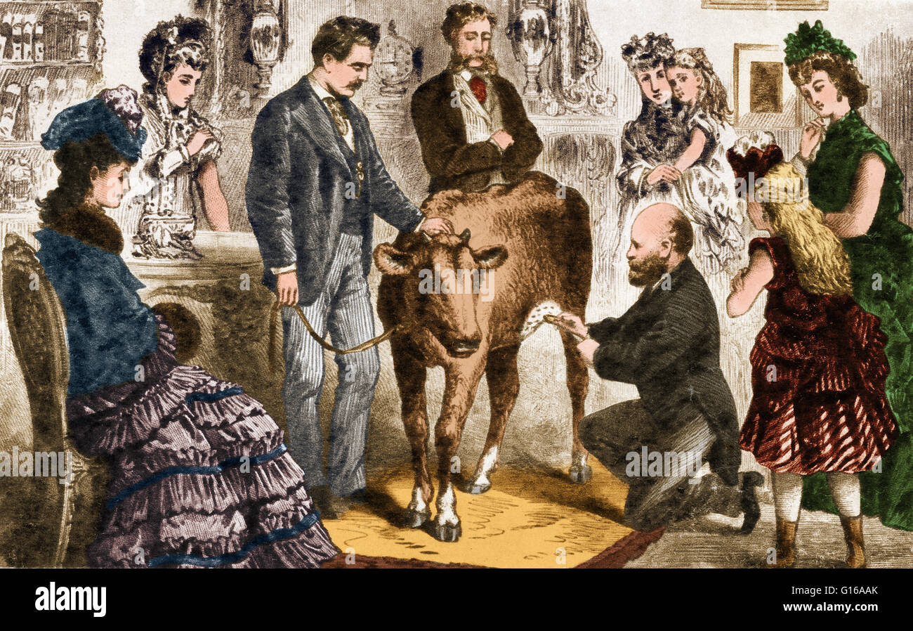 Protezione contro il vaiolo mediante inoculazione con il virus del vaiolo  dei bovini. Edward Jenner (1749-1823), British medico e naturalista,  sviluppato un vaccino per la spesso fatale infezione virale del virus del