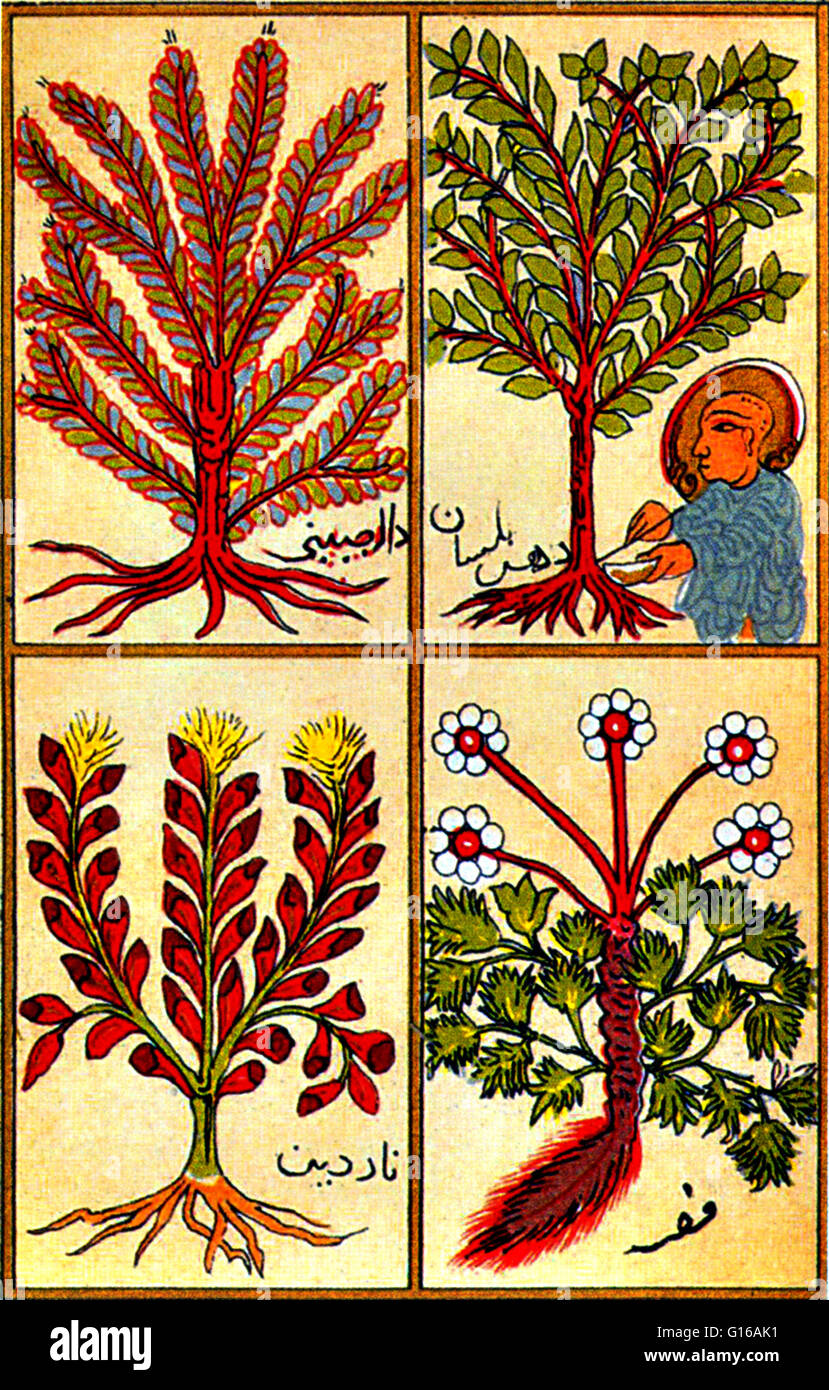 Principali profumi degli ebrei, presi da un dodicesimo secolo manoscritto arabo. I pannelli di fondo mostrano due varietà di Nardo, il più prezioso dei profumi biblica, mentre il pannello sulla parte superiore sinistra di foto di un albero di cannella. L'uomo in alto a destra Foto Stock