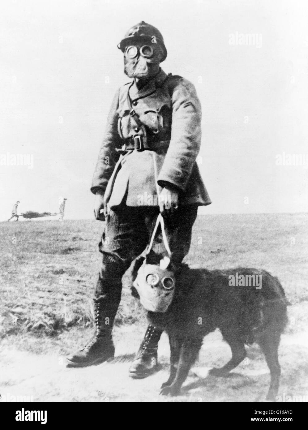 Un sergente francese e un cane, sia indossando maschere antigas, sulla loro strada verso la linea del fronte. Circa 1914-18. Il primo uso di gas asfissianti sul fronte occidentale era il 22 aprile 1915 dai tedeschi a Ypres, contro il canadese e francese truppe coloniali. Il British R Foto Stock