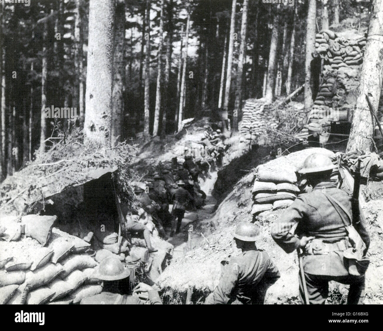 Le truppe americane sono in possesso di una trincea su un pendio boschivo nelle montagne Vosges. I Vosgi formata la principale linea di confine tra la Francia e l'impero tedesco. Durante la prima guerra mondiale, essi furono teatro di gravi e quasi continui combattimenti. Allo scoppio o Foto Stock