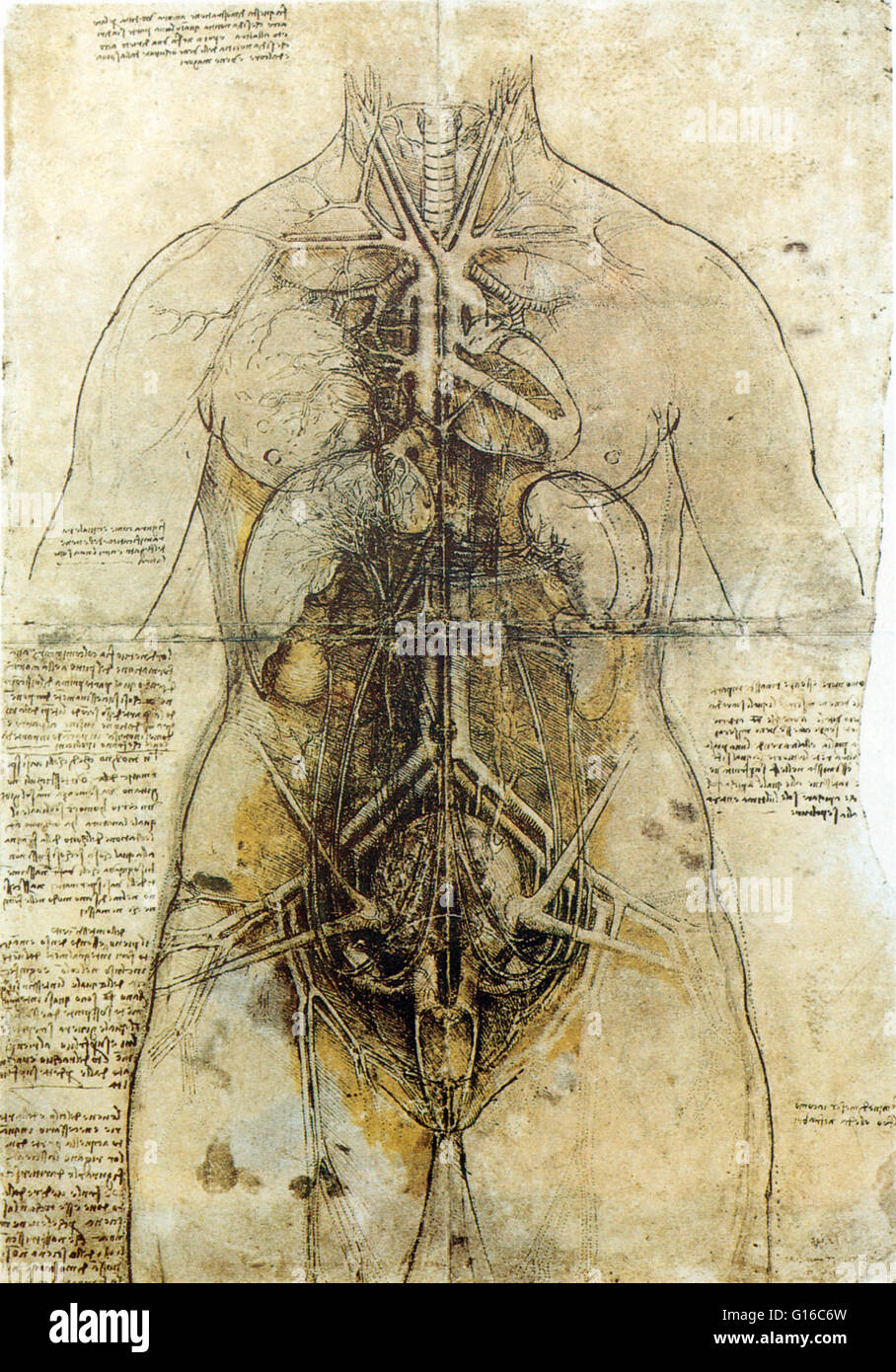 Principio di organi e vascolari e urogenitale di una donna, circa 1507. Leonardo di ser Piero da Vinci (15 Aprile 1452 - 2 Maggio 1519) era un rinascimento italiano polymath: pittore, scultore, architetto, musicista, matematico, ingegnere e inventore, anat Foto Stock