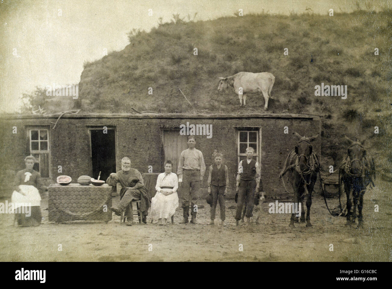 1886 fotografia da Salomone Butcher intitolata: "ylvester Rawding famiglia nella parte anteriore del sod house, a nord di Sargent, Custer County, Nebraska." Nella foto, da sinistra a destra, sono Emma (Leadbetter) Rawding, Silvestro W. Rawding, figlia di Bessie, e figli Philip, Foto Stock