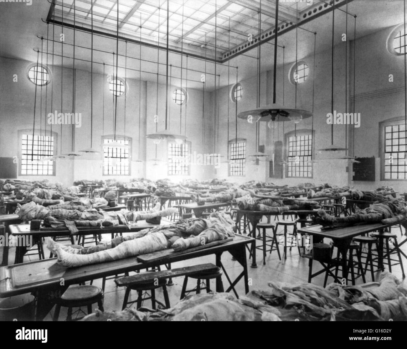 Sala di dissezione, Jefferson Medical College (Philadelphia), che mostra parzialmente sezionato cadaveri su tavoli, 1902. La prima classe è stata graduata in 1826, di ricevere i loro gradi solo dopo la disposizione di una querela per cercare di chiudere la scuola. La prima Foto Stock