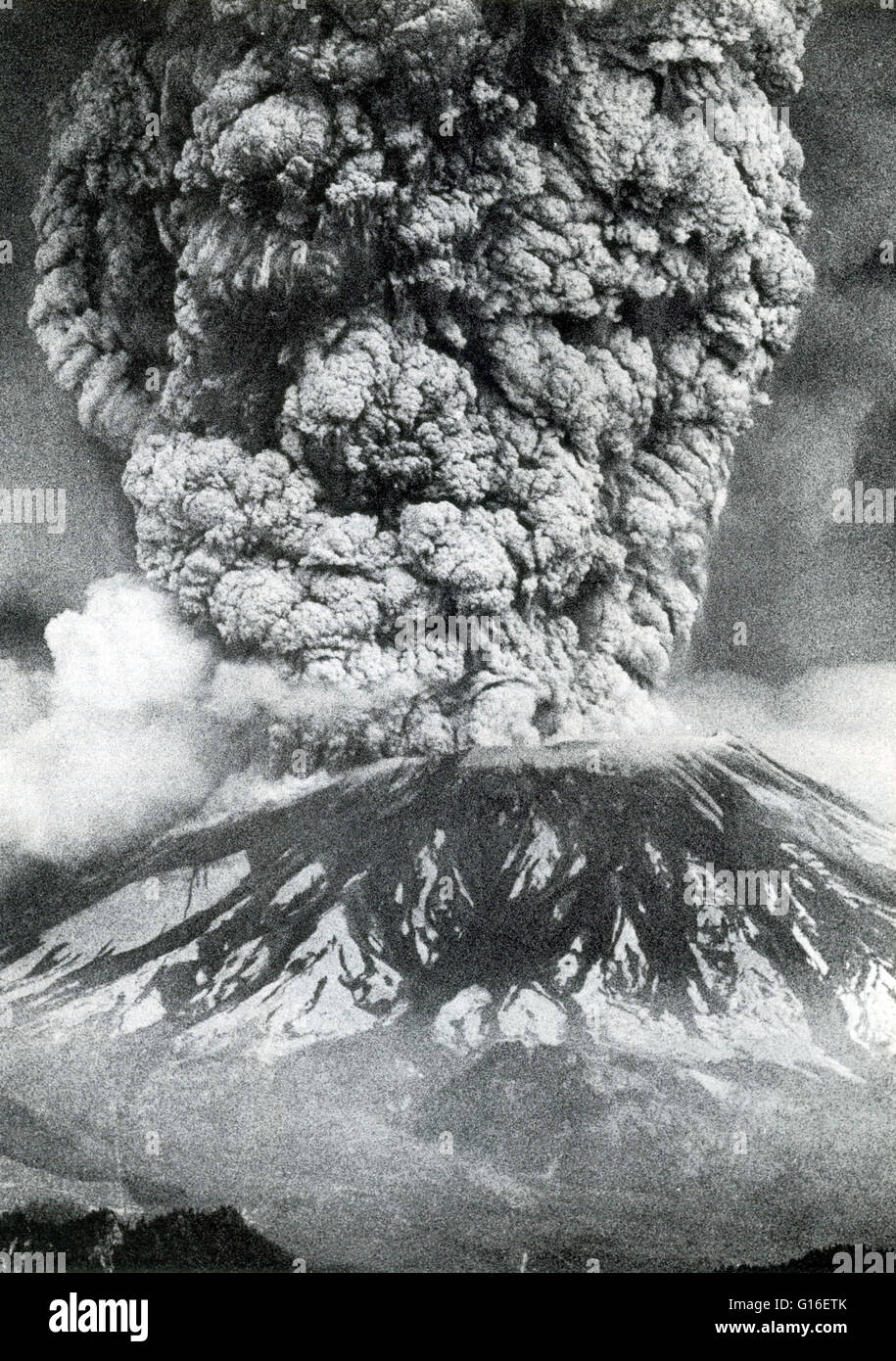 Il Monte Sant Helens, Washington, è il vulcano più attivo nella cascata gamma. Il primo segno di attività a Monte Sant Helens nella primavera del 1980 è stata una serie di piccoli terremoti che è iniziato il 16 marzo. Esplosioni di vapore su Marzo 27 eiettato un cratere thr Foto Stock
