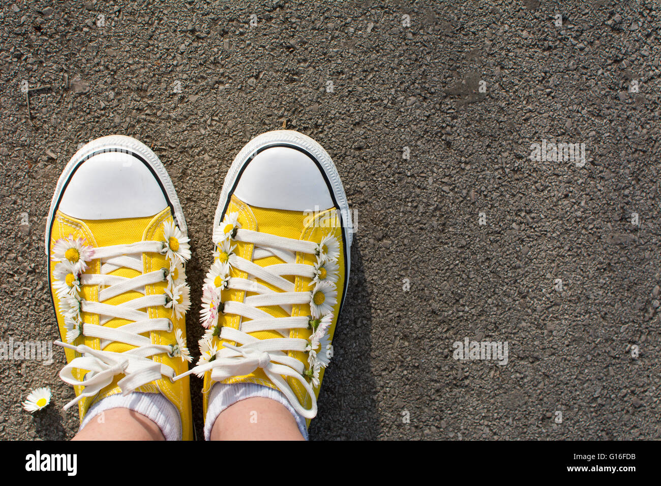 Sneakers giallo decorato con margherite nel parco Foto Stock