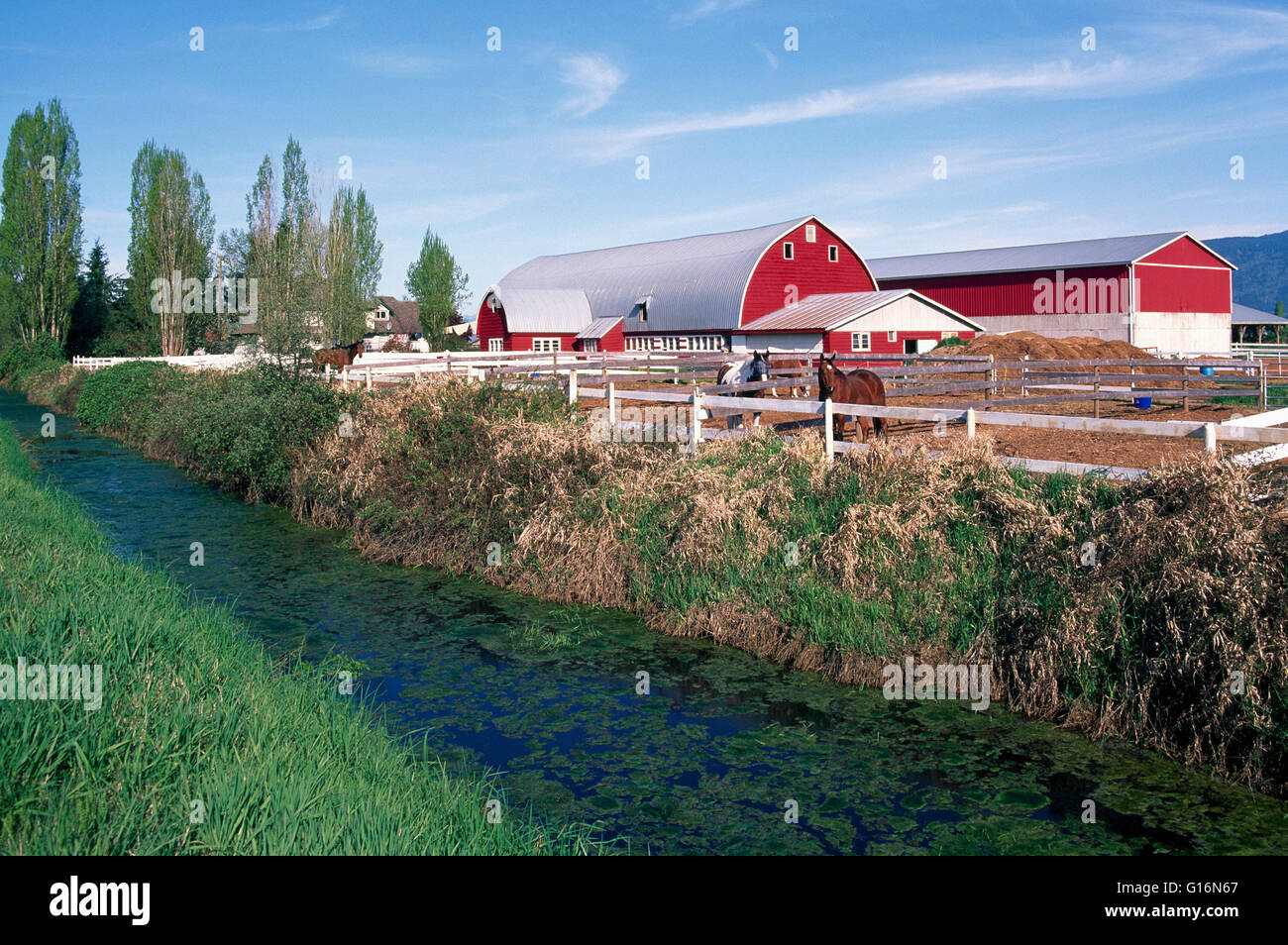 Granaio rosso su Fraser Valley Farm, Pitt Meadows, BC, British Columbia, Canada Foto Stock