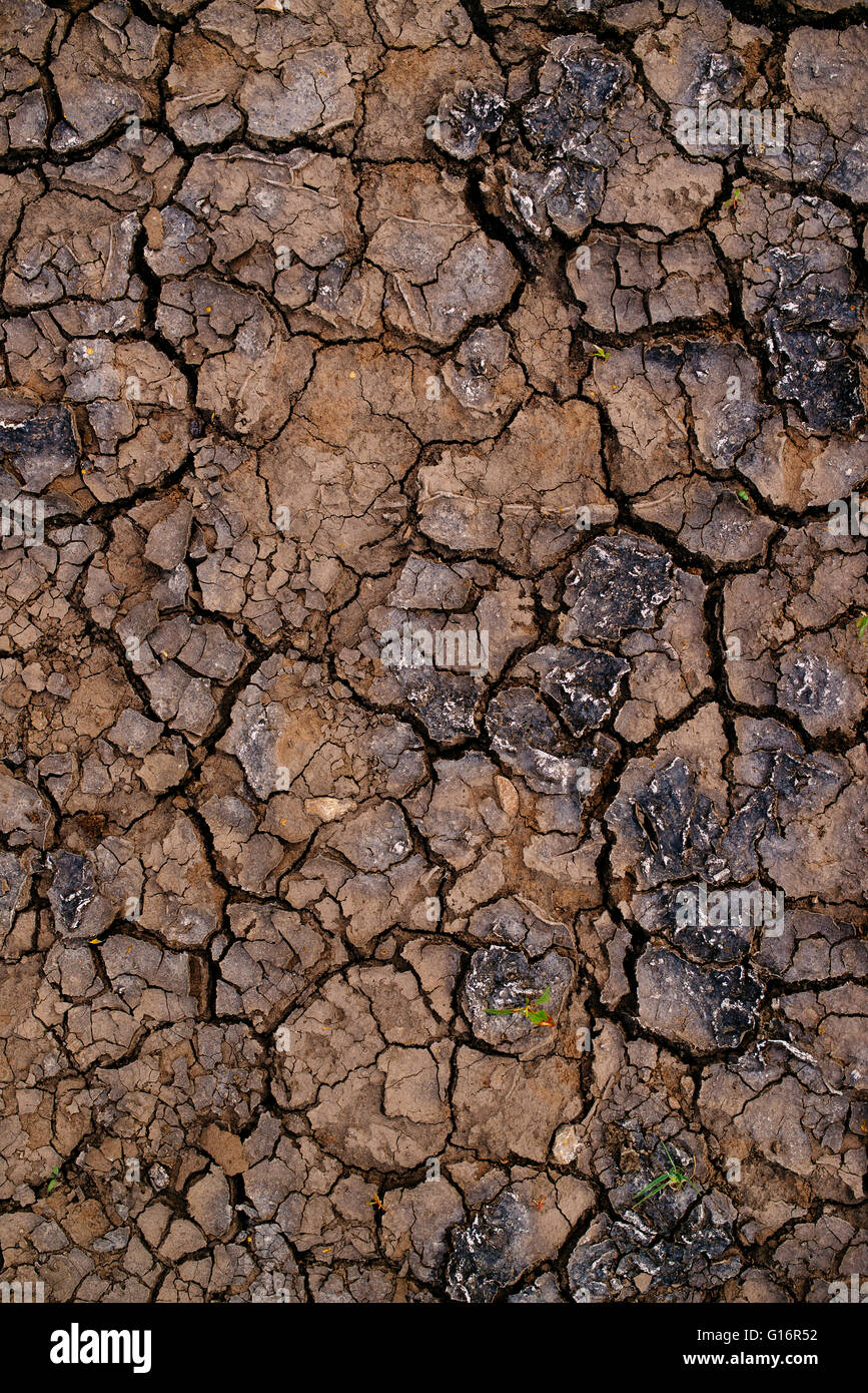 Siccità del suolo e crepe di fango in terra asciutta, consistenza naturale Foto Stock
