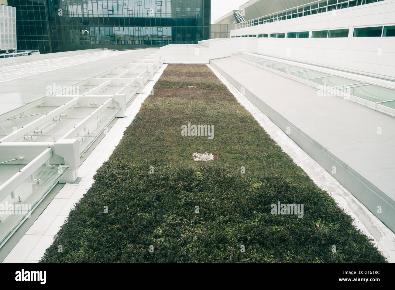 Green Roof top Milwaukee Airport Foto Stock