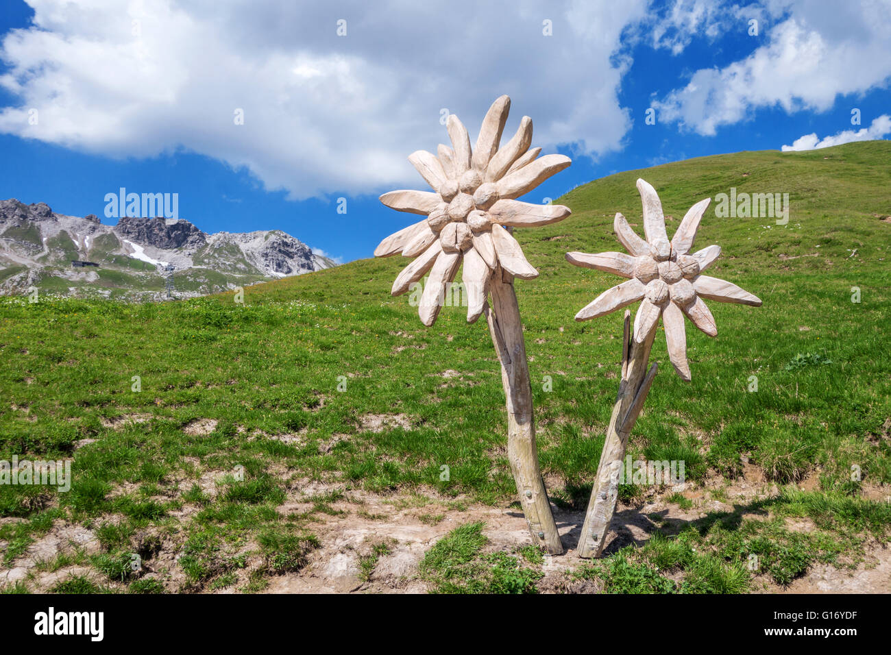 Edelweiss scultura in Algovia Alpi Foto Stock