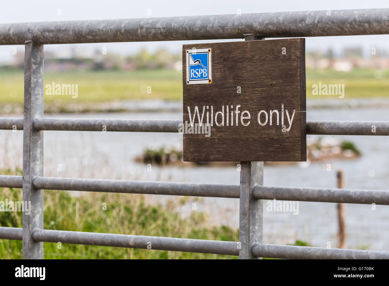 Un eccentrico RSPB segno visibile su una porta di metallo accanto alle paludi sulla costa di Southport. Foto Stock