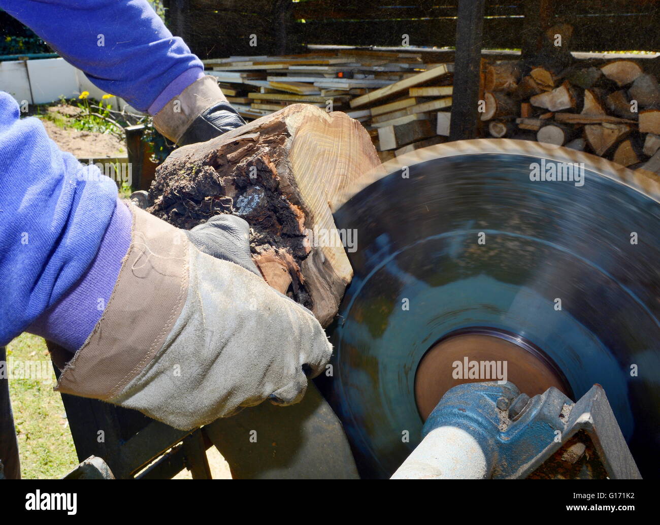 Uomo taglio del log su una sega circolare in giardino. Il taglio di legno,  taglio di log. Macchine per la lavorazione del legno in giardino Foto stock  - Alamy