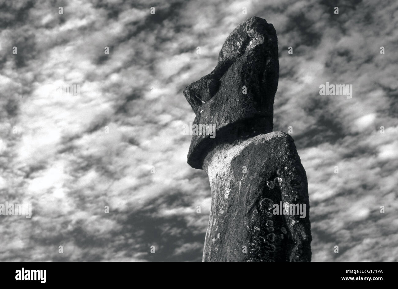 Moai a Hanga Roa isola di pasqua Cile Foto Stock