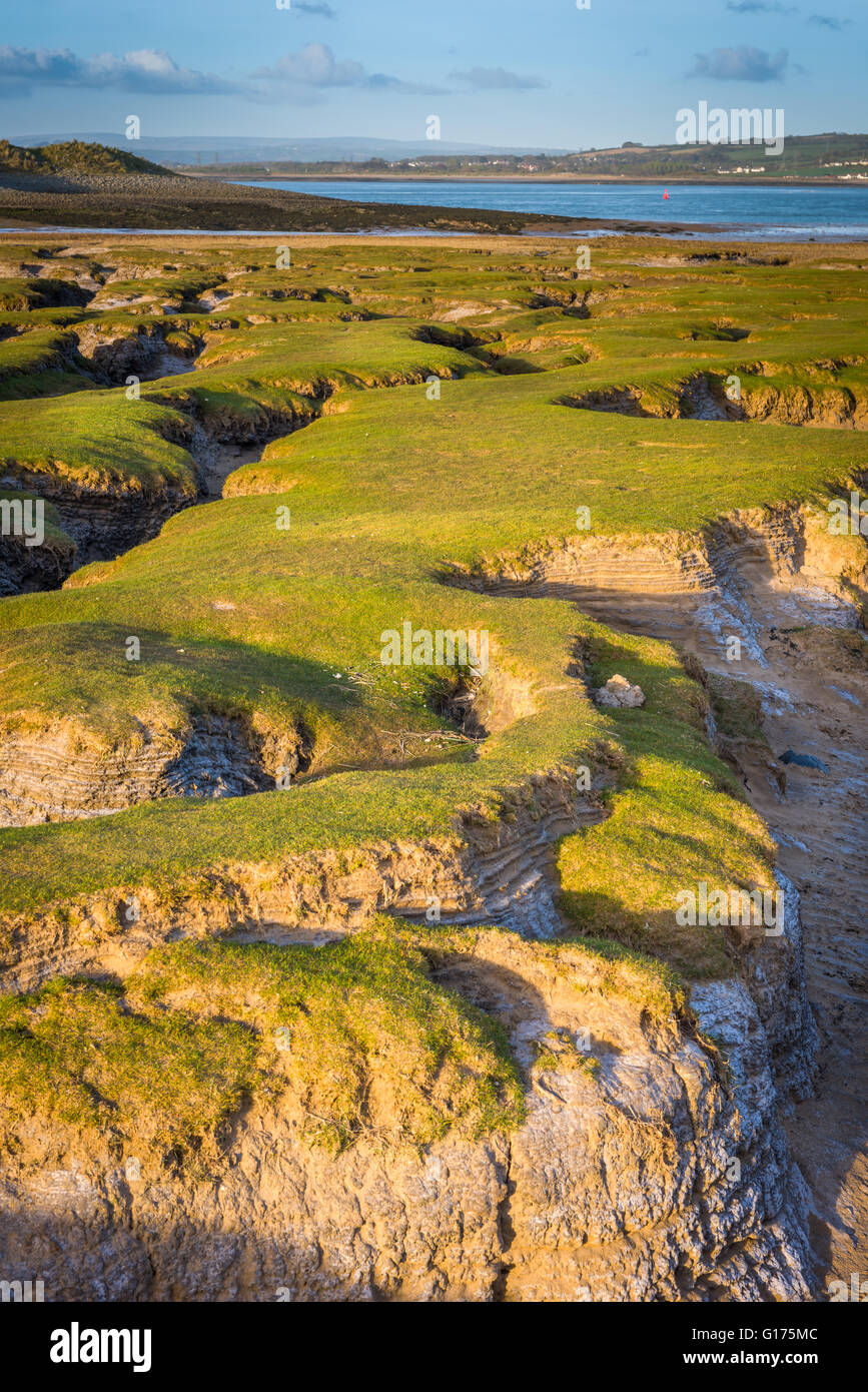 Il Skern - Northam Burrows Foto Stock