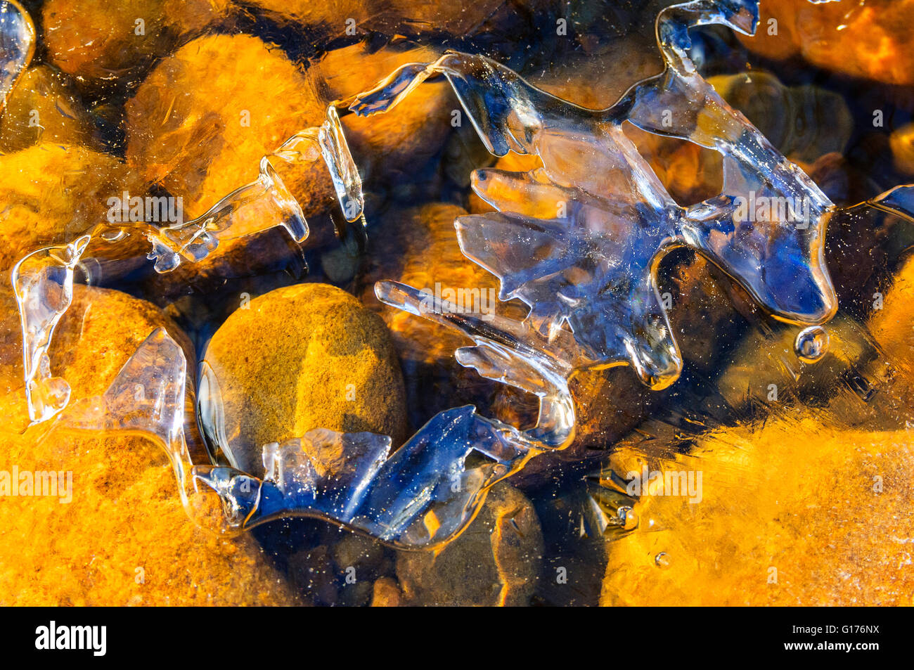 Ice-cristalli in alveo sul fiume Brock nella foresta di Bowland Area di straordinaria bellezza naturale Lancashire Foto Stock