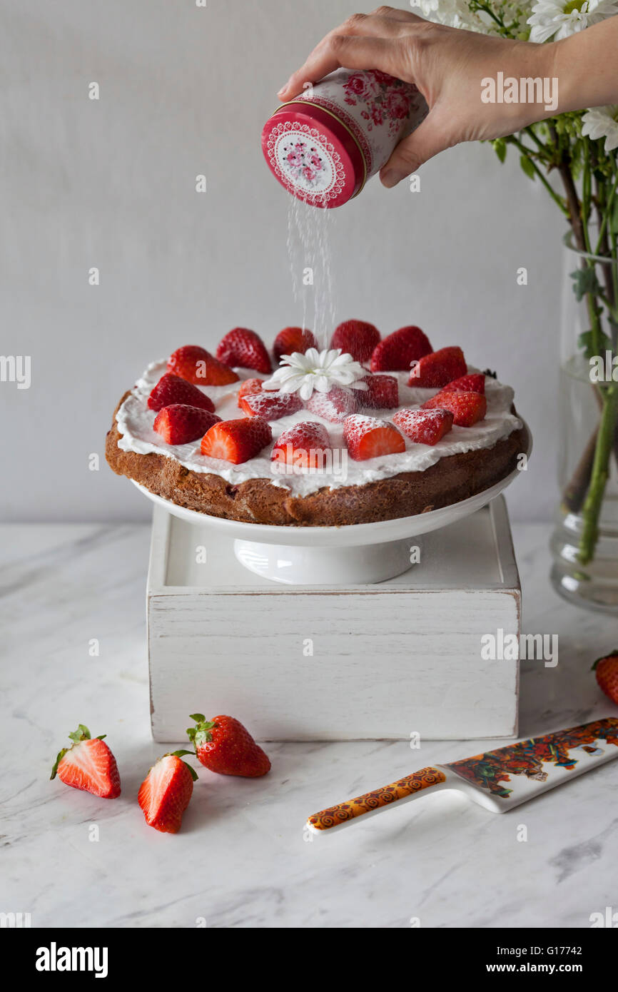 La torta di fragole con panna montata crema di noce di cocco e guarnita con fragole fresche su una torta bianca stand, essendo spolverato con polvere Foto Stock