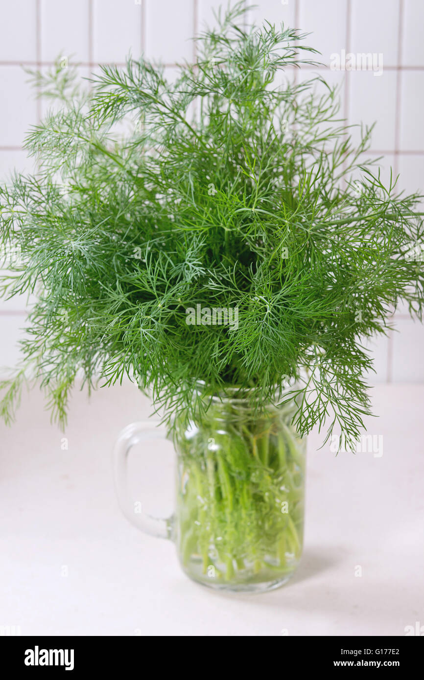 Aneto fresco succursale in un barattolo di vetro su tavolo da cucina con bianco parete piastrellata in background. Foto Stock