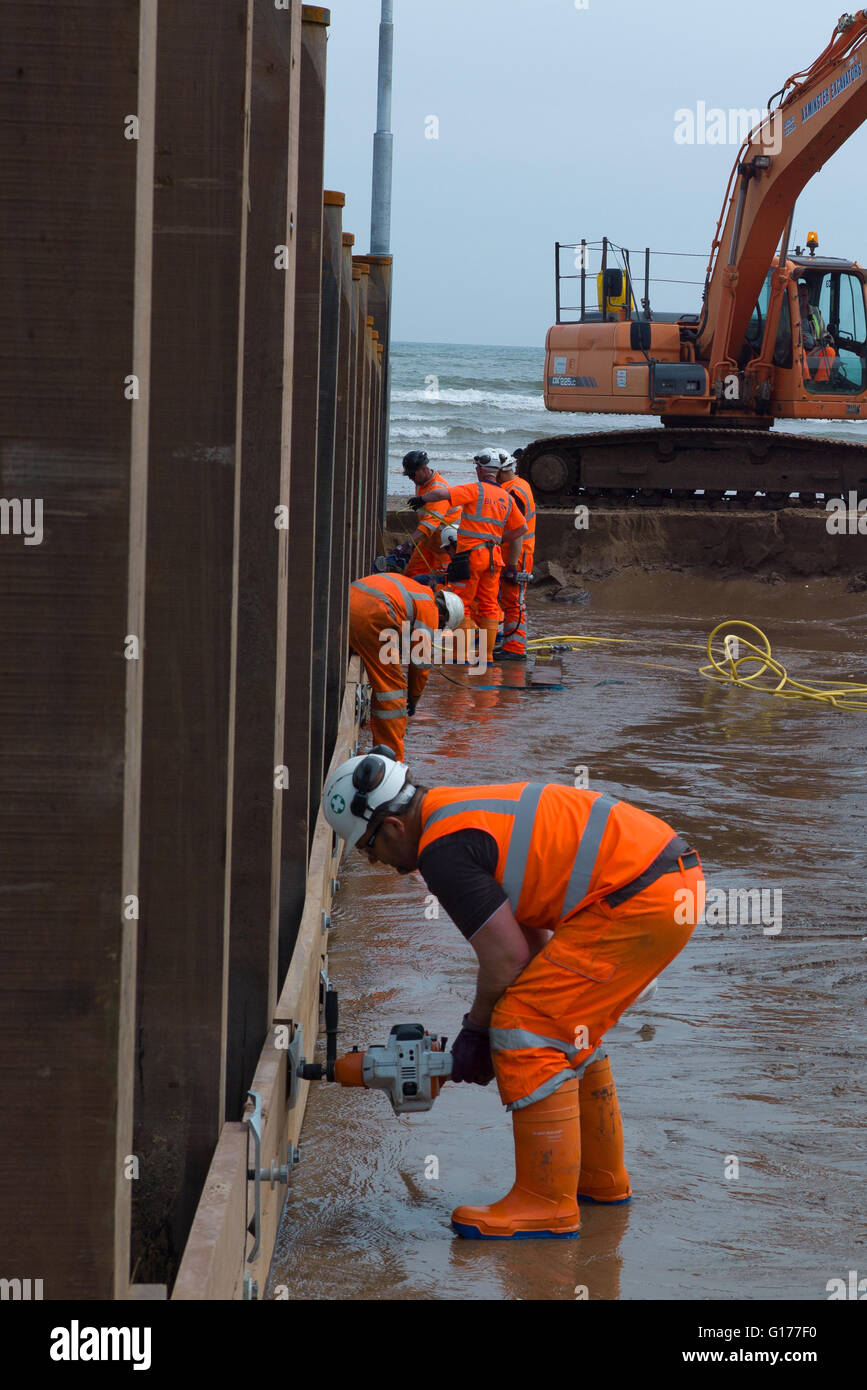 Operai ricostruzione del inguine sulla spiaggia a Dawlish in South Devon UK. Questa zona ha avuto grande erosione costiera problemi Foto Stock