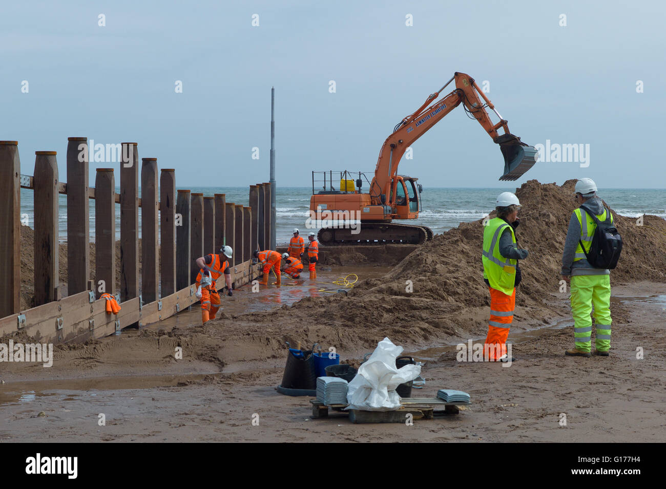 Operai ricostruzione del inguine sulla spiaggia a Dawlish in South Devon UK. Questa zona ha avuto grande erosione costiera problemi Foto Stock