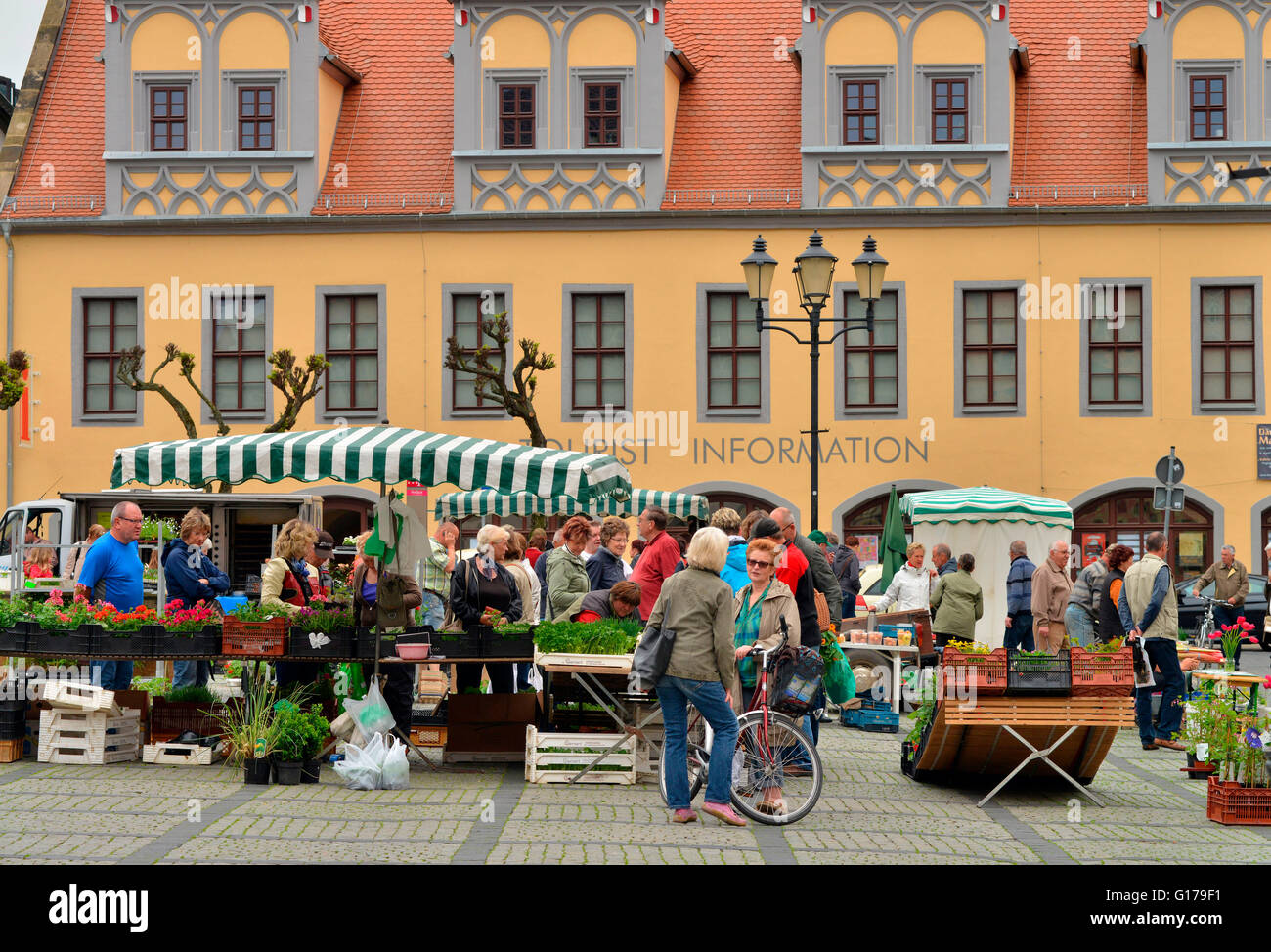 Wochenmarkt, Marktplatz, Naumburg, Sachsen-Anhalt, Deutschland Foto Stock