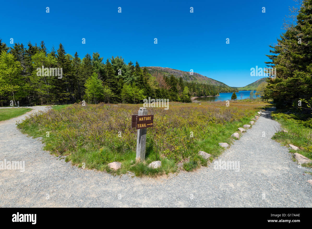 Sentiero natura segno direzionale nel Parco Nazionale di Acadia nel Maine Foto Stock