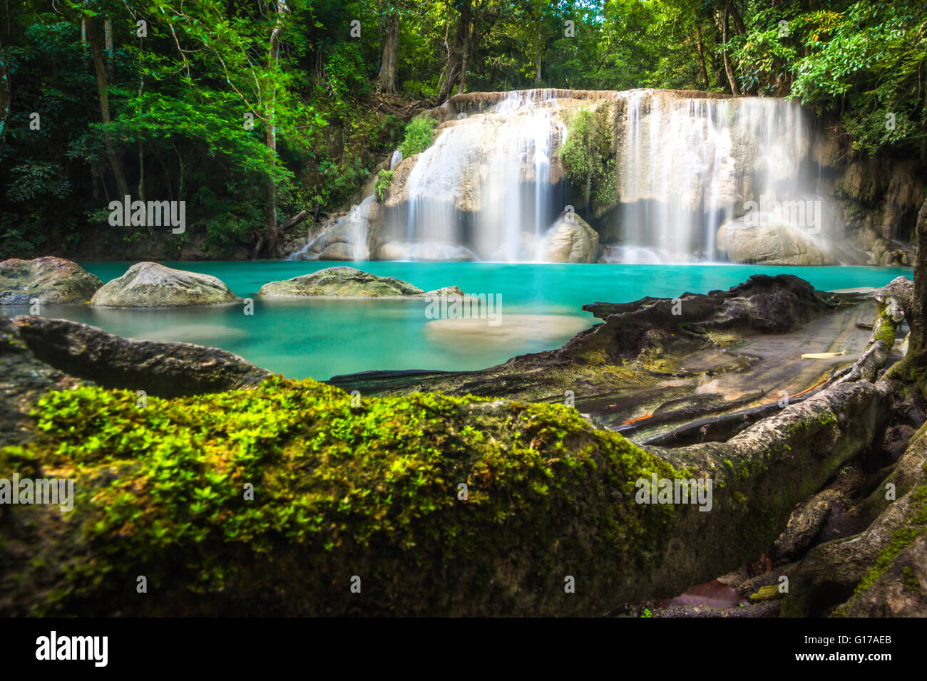 Erawan cascata ambiente con grande albero e acqua color smeraldo di Kanchanaburi, Thailandia Foto Stock