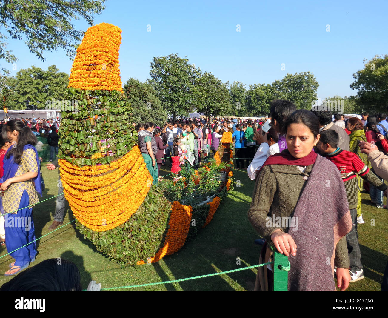 Tagete arte al Festival di Rose, Chandigarh Foto Stock