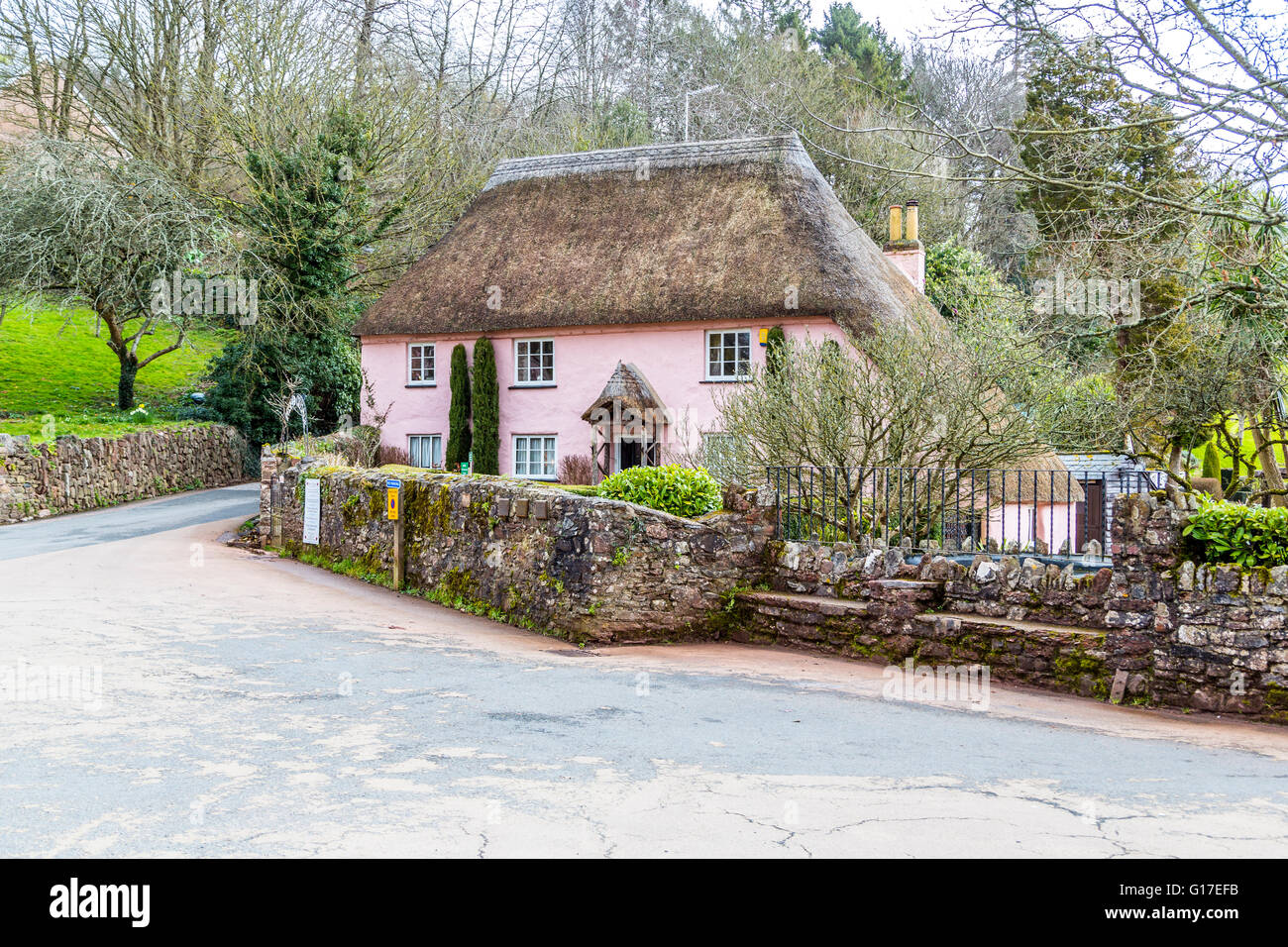 Un tipico Devon cottage rosa con un tradizionale tetto di paglia nel villaggio di Cockington Chiesa, Torquay, Devon, Regno Unito Foto Stock