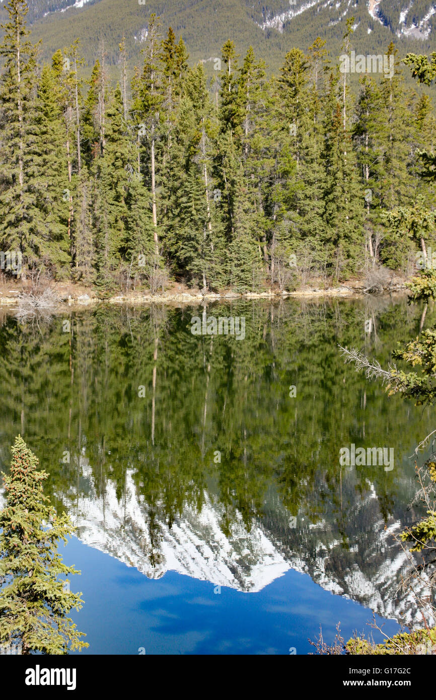 Ideale caduta indietro o sfondo, Canadian bellezza in Alberta Canada, bella riflessione nelle limpide acque dei laghi. Bellezza canadese Foto Stock