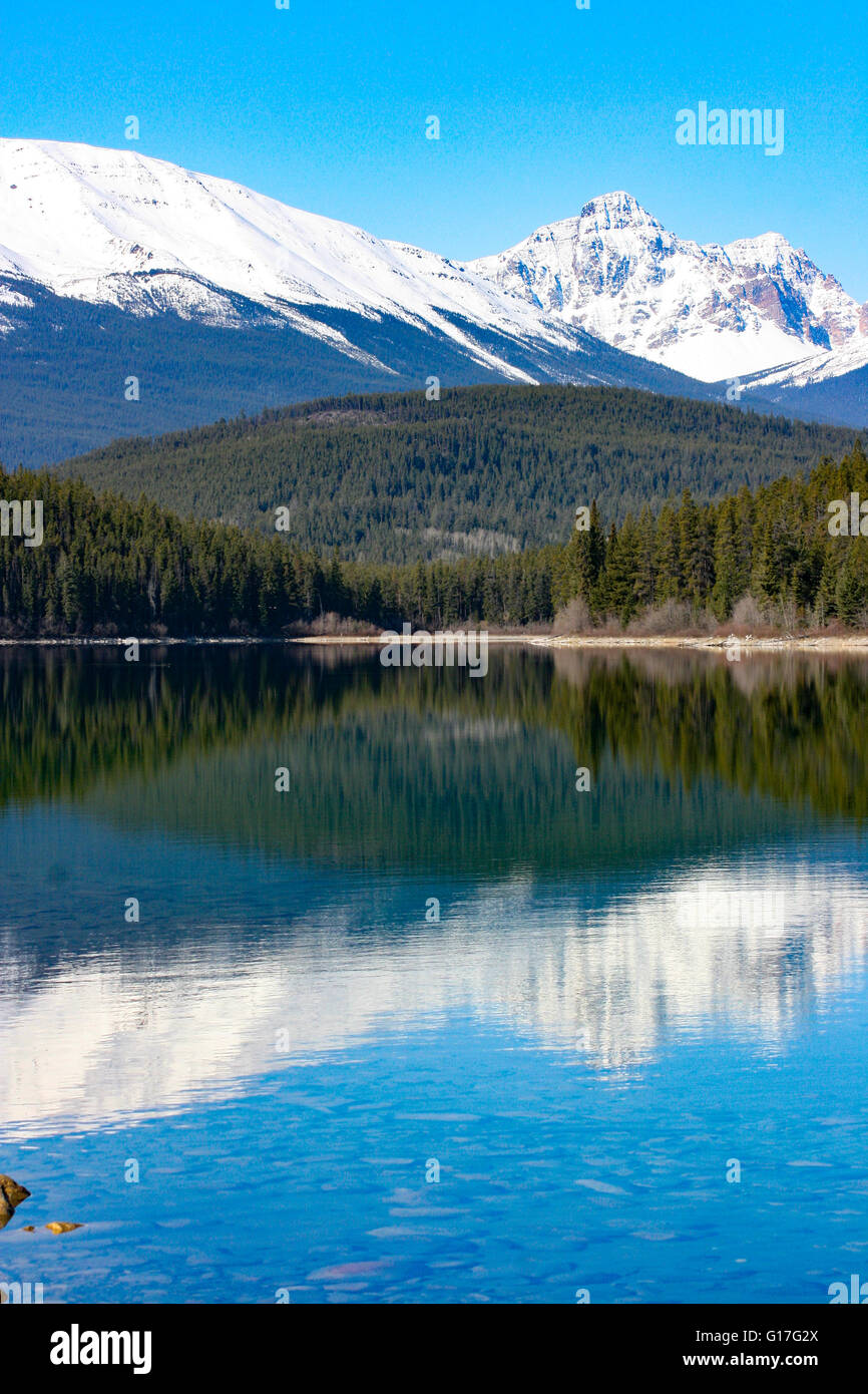 Ideale caduta indietro o sfondo, Canadian bellezza in Alberta Canada, bella riflessione nelle limpide acque dei laghi. Bellezza canadese Foto Stock