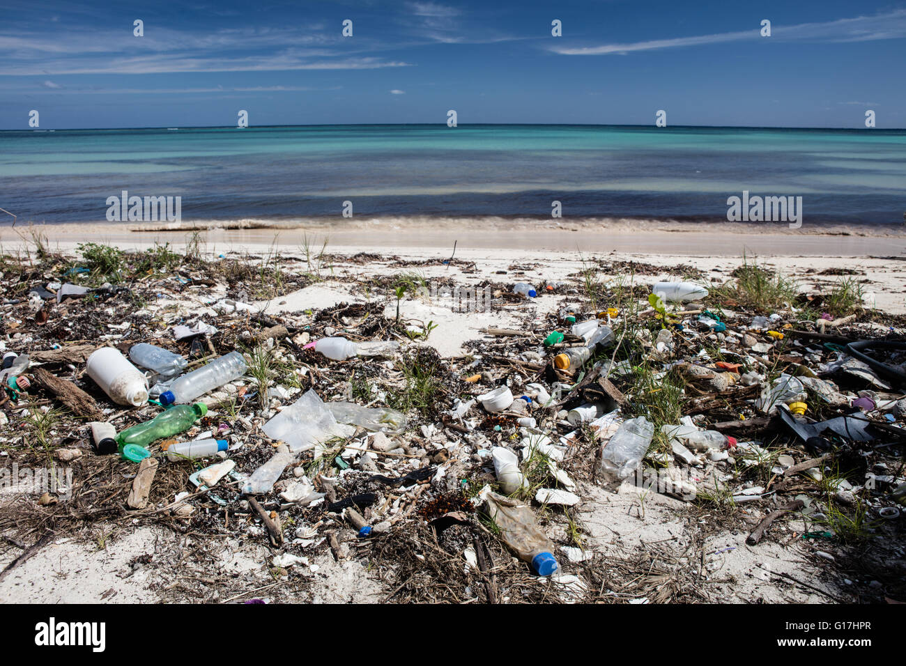 Immondizia di plastica lava fino a una spiaggia caraibica. Materie plastiche entrare nella catena alimentare e sono dannosi sia per la fauna selvatica e gli esseri umani. Foto Stock