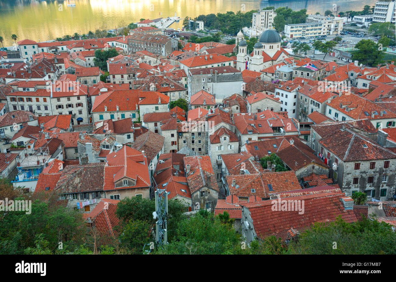 Vista dall'alto degli edifici di Cattaro città vecchia, Montenegro, Balcani Foto Stock