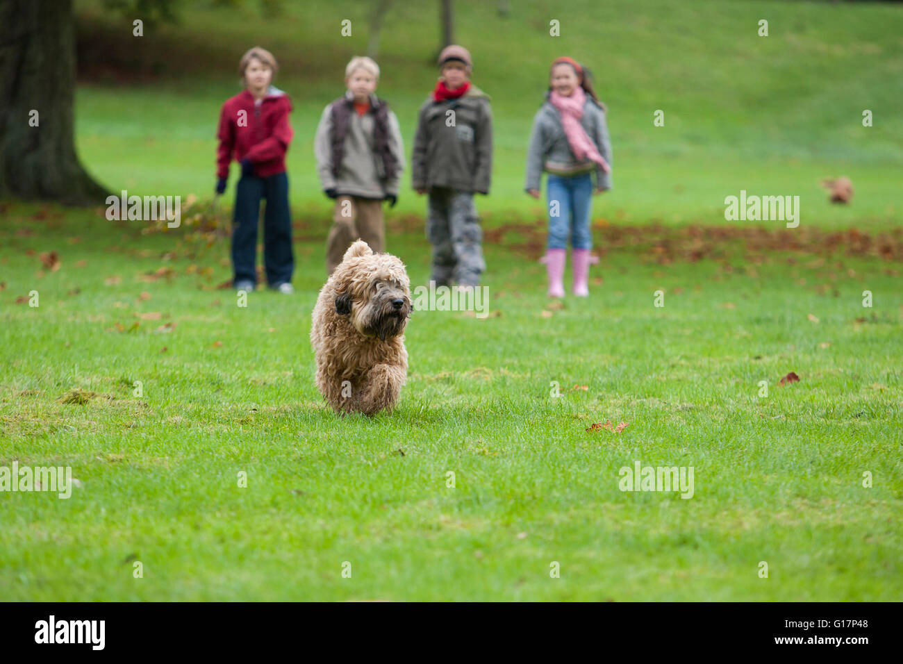 Cane che corre nel parco, quattro bambini standing in background Foto Stock