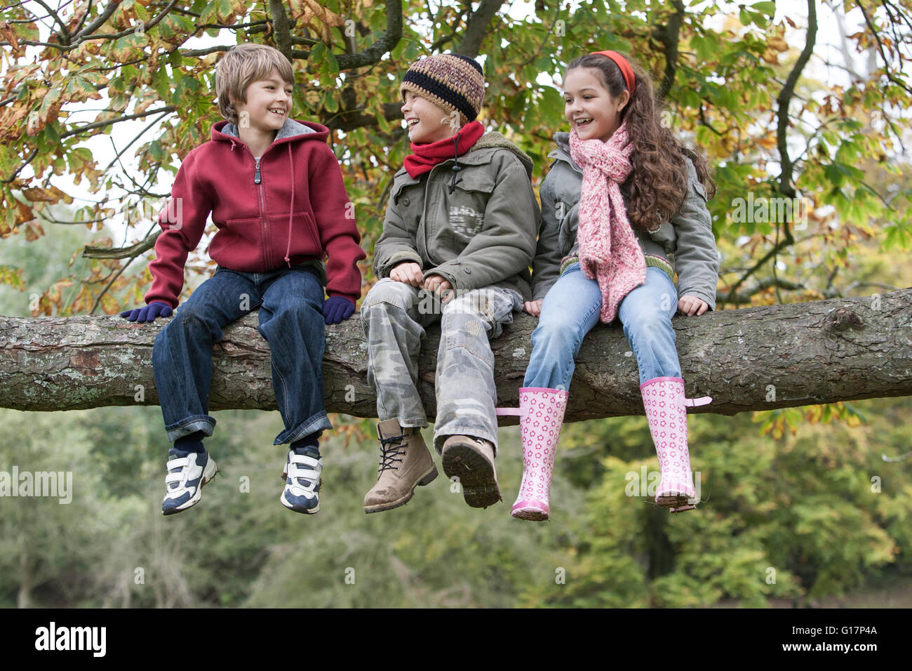 Tre bambini seduti sul ramo di albero, sorridente Foto Stock