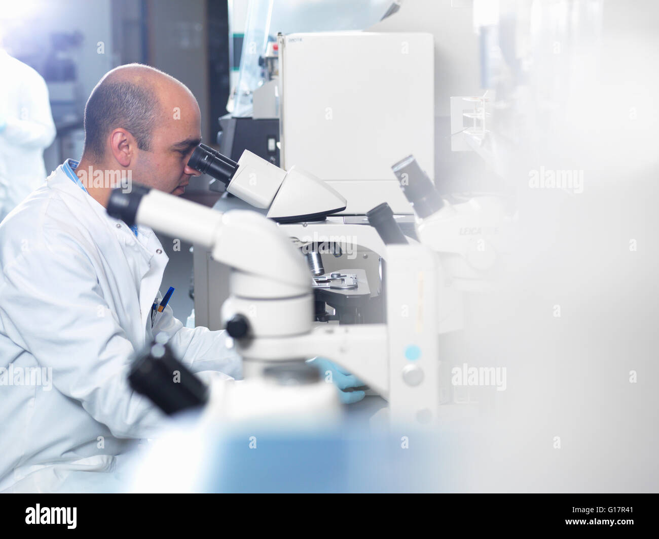 Visualizzazione dello scienziato parassiti sotto microscopio luminoso in laboratorio, Jenner Institute dell'Università di Oxford Foto Stock