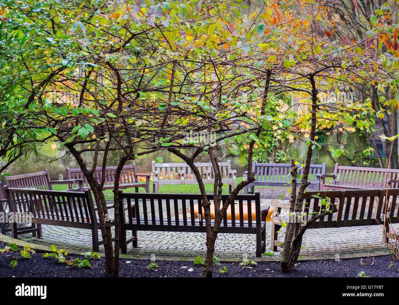 Giardino nascosto nelle rovine di St Dunstan in oriente chiesa medievale della città di Londra, Inghilterra, Regno Unito Foto Stock