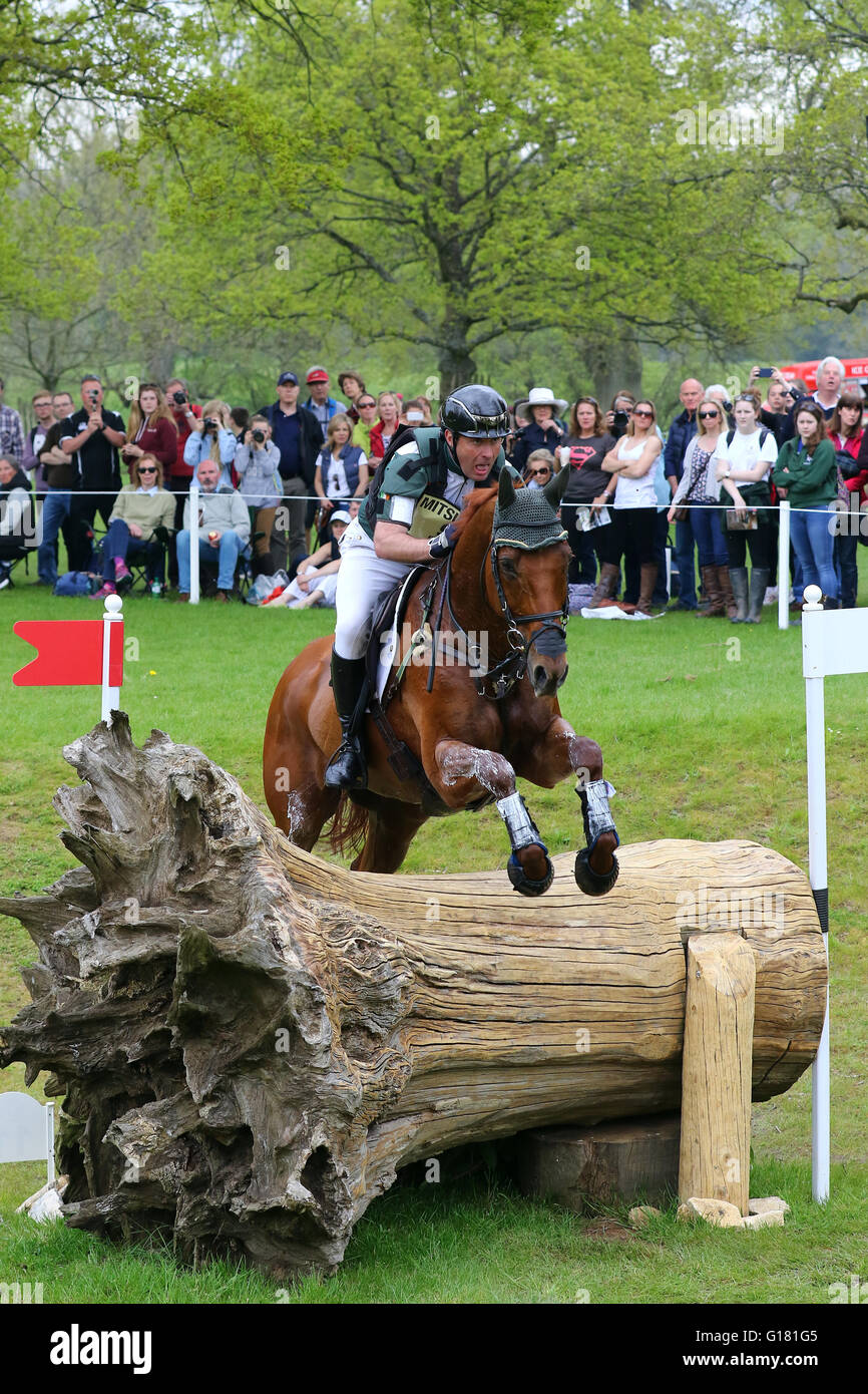 Michael Ryan (Irlanda) su Ballylynch cavalcare Cross Country alla Mitsubishi Badminton Horse Trials, 7 maggio 2016 Foto Stock