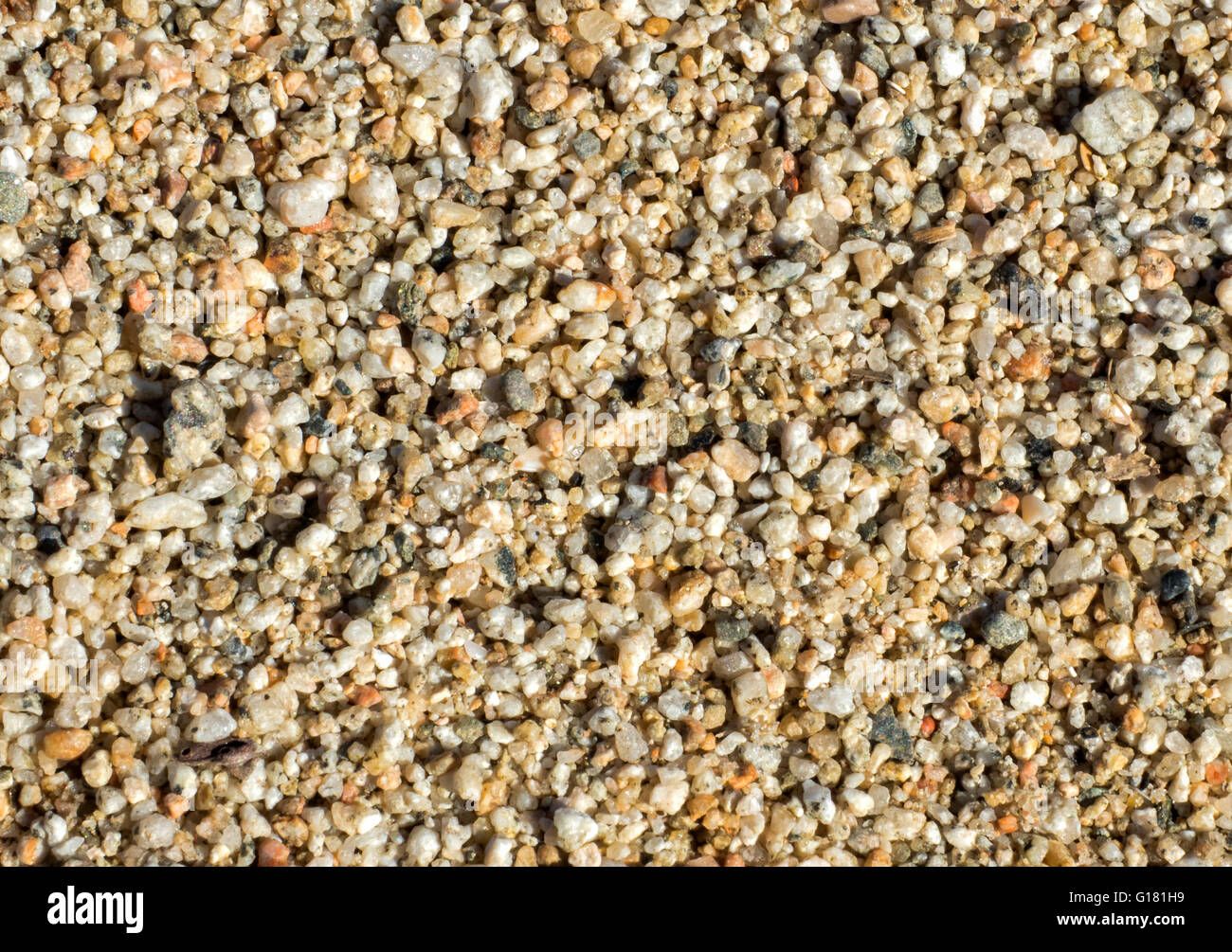 Sabbia del Mediterraneo vicino immagine in alto Foto Stock