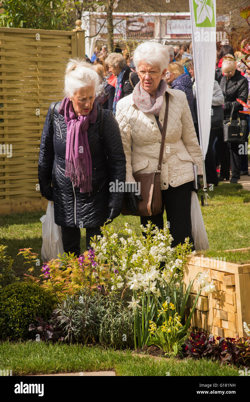 2 femmina matura i visitatori a Harrogate Spring Flower Show 2016 (North Yorkshire, Inghilterra) osservando attentamente le piante in un giardino mostra aiuola. Foto Stock