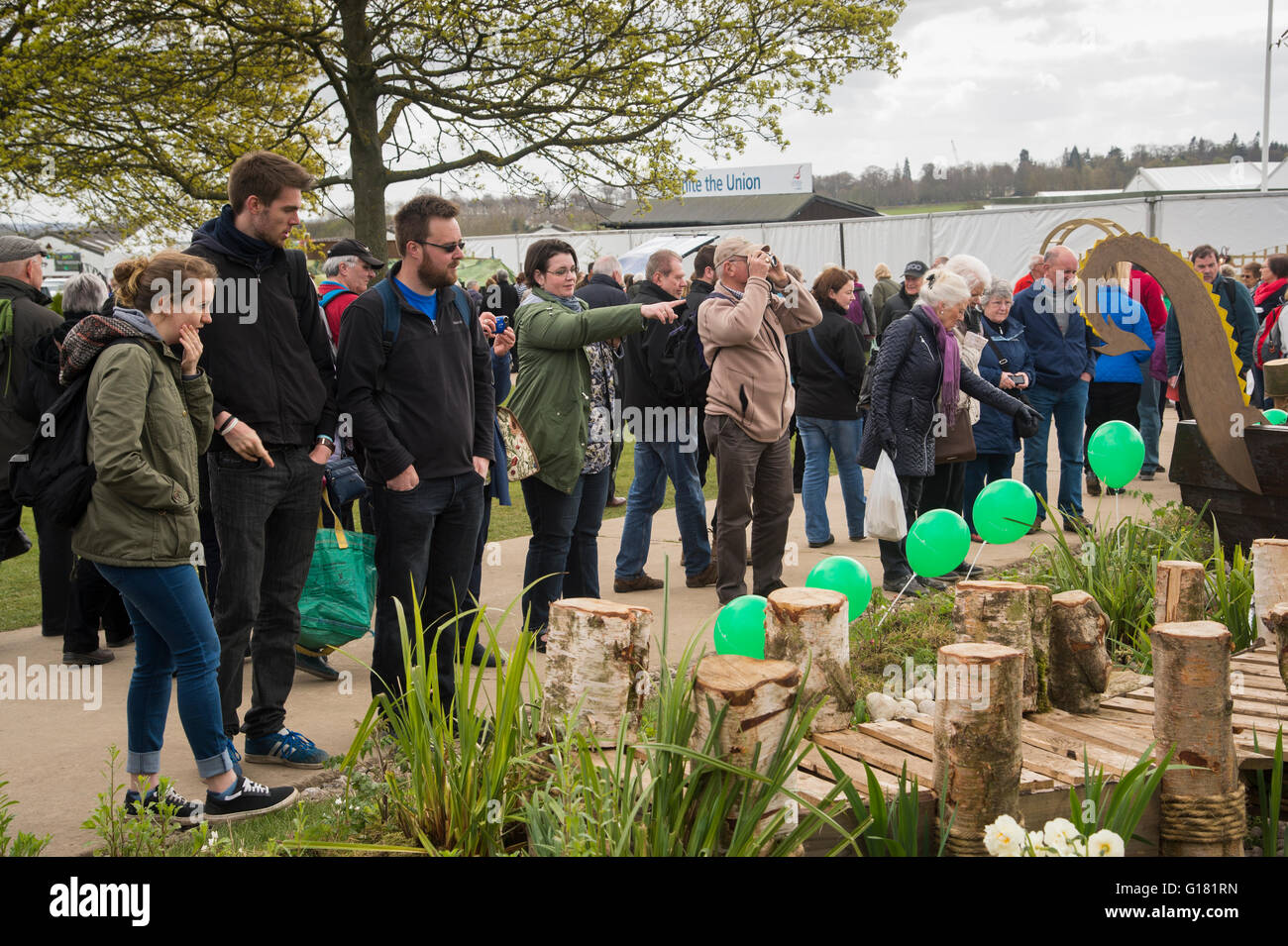 Molla di Harrogate Flower Show 2016 (North Yorkshire, Inghilterra) - i visitatori di tutte le età, si affollano attorno a Nordic mostra giardino, assorbito, cercando e puntamento. Foto Stock