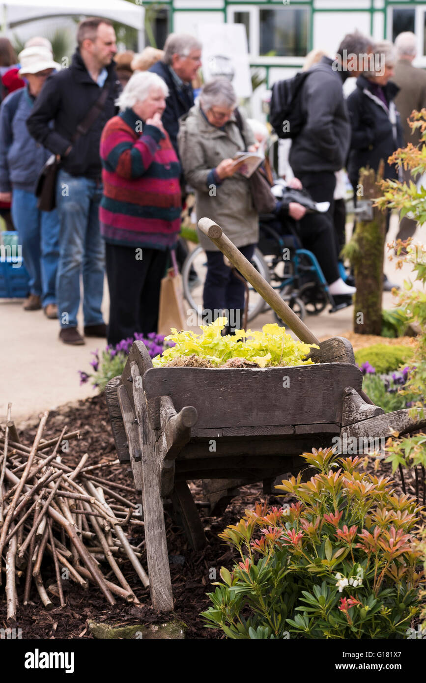 I visitatori della molla di Harrogate Flower Show 2016 (North Yorkshire, Inghilterra) studio e ammirare uno spettacolo naturale giardino, 'Wildlife Paradiso'. Foto Stock