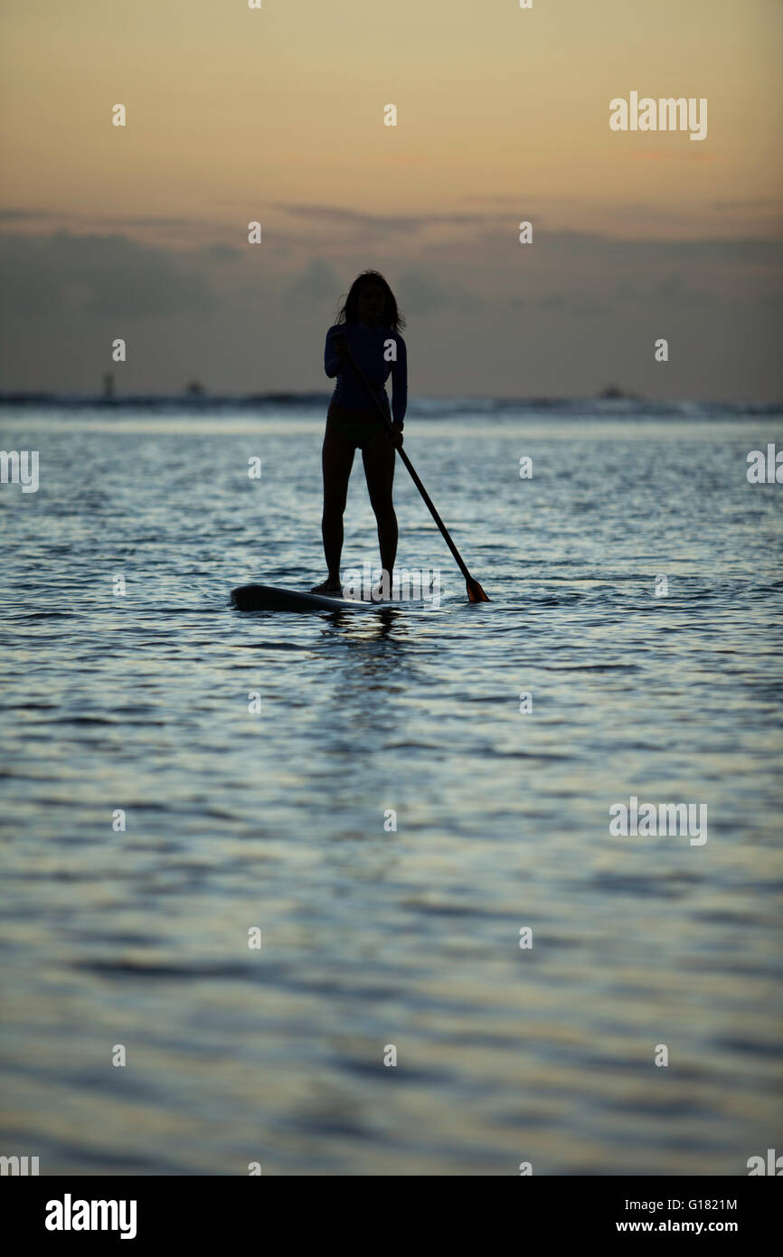 Donna piacevole paddling stand up board presso la spiaggia di Ala Moana al tramonto o al crepuscolo. Foto Stock