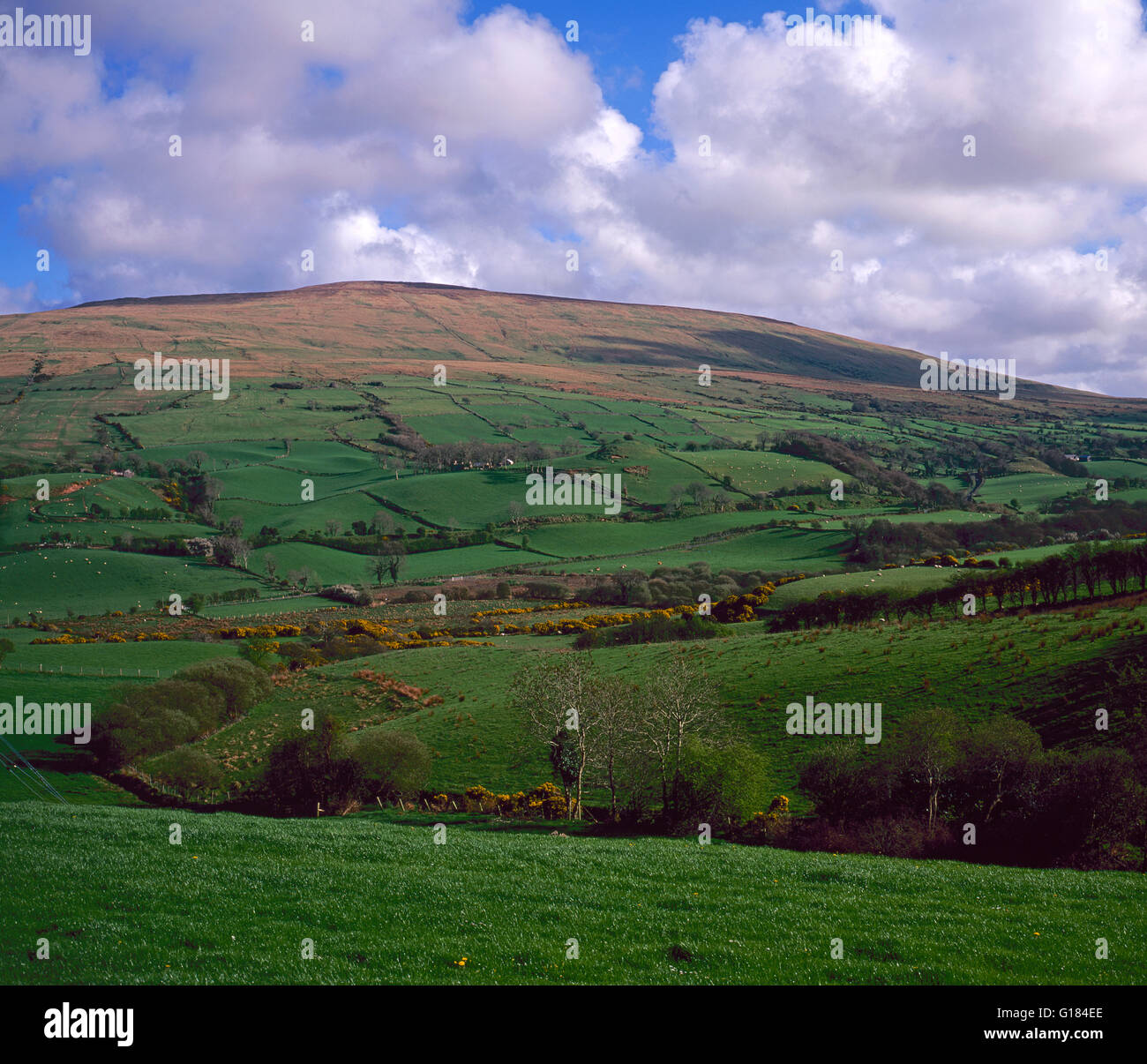 Montagne Sperrin, County Tyrone, Irlanda del Nord Foto Stock