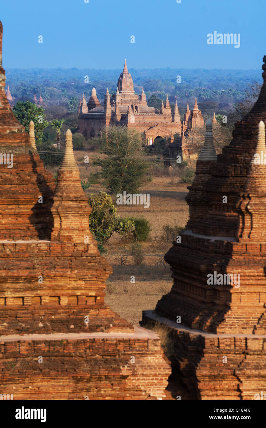 I templi di Bagan, terra della Pagoda, Myanmar Foto Stock