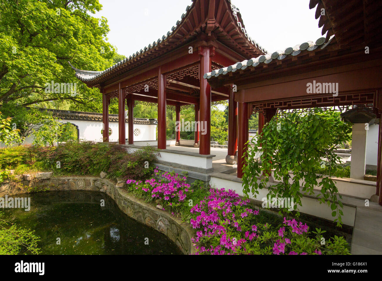 Giardino Cinese con laghetto, fiori e il pavilion al Purple Mountain Park in Nanjing, Cina e Asia Foto Stock