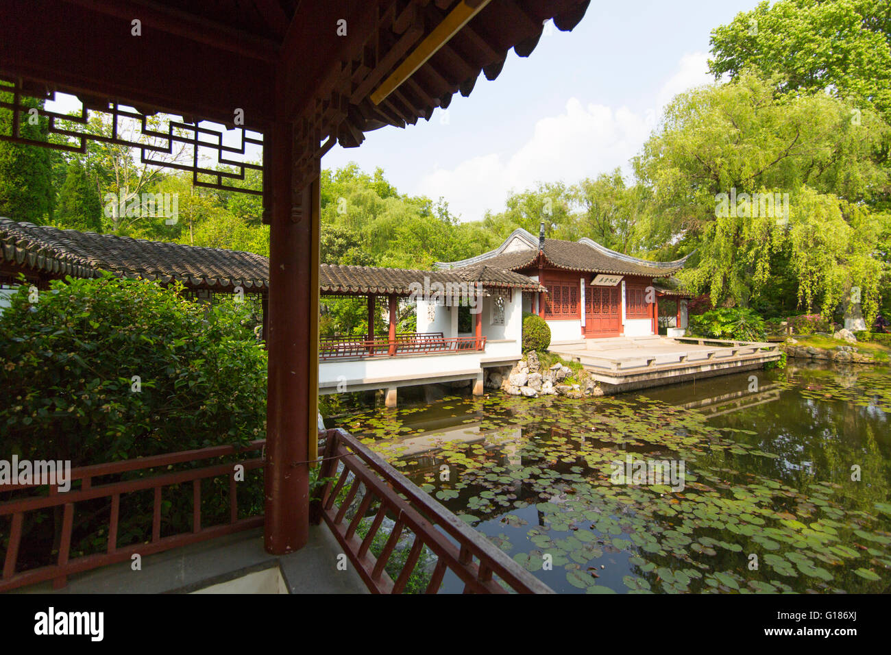 Giardino Cinese con padiglione e di un lago con acqua le piante al Purple Mountain in Nanjing, Cina Foto Stock