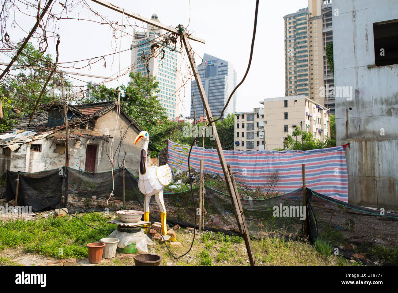 Città cinese orto in area urbana circondata da appartamenti e torri in Nanjing, Cina Foto Stock
